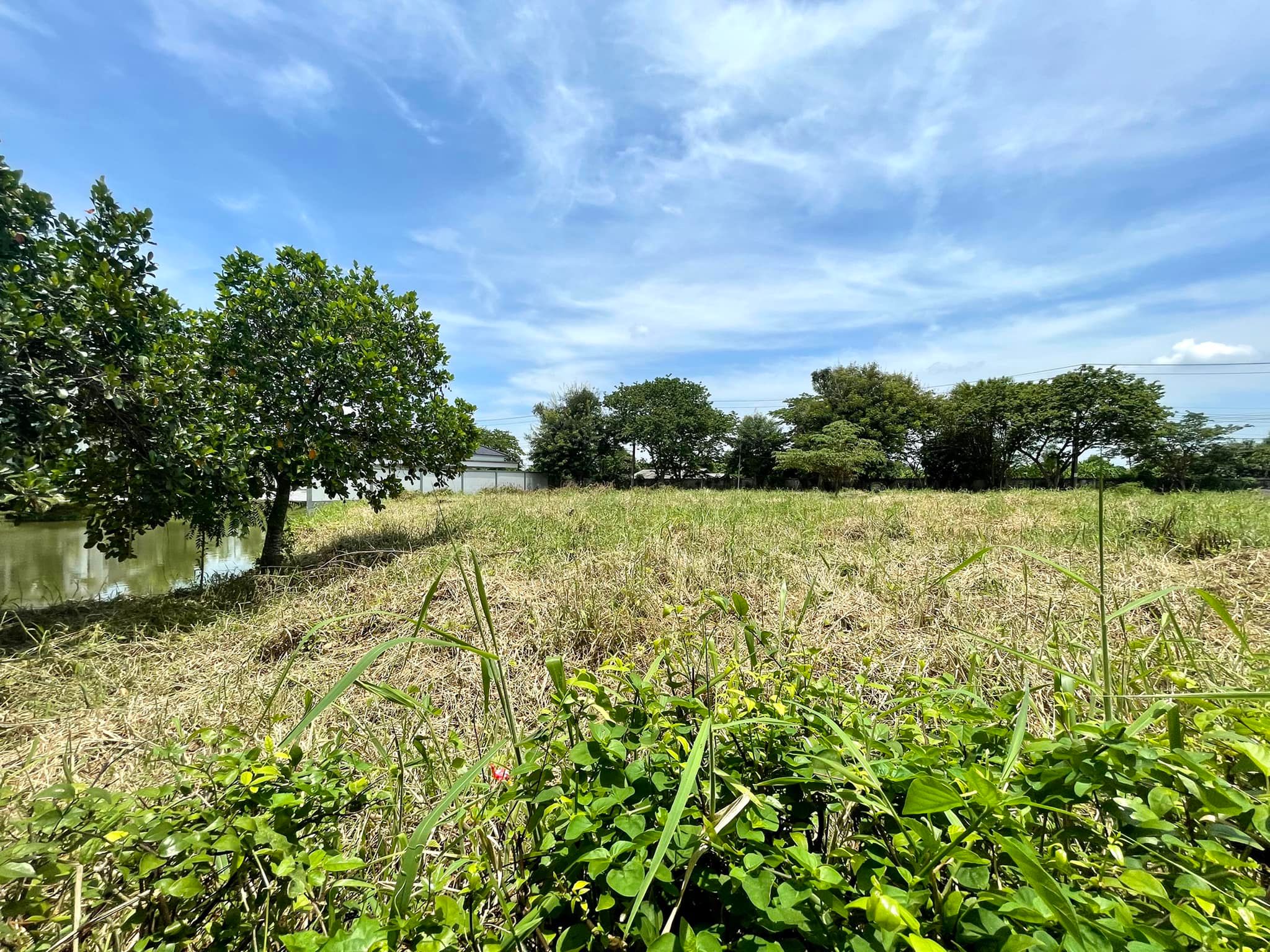 ขายที่ดินติดน้ำ หมู่บ้านไม้อิงธาร บางกรวย ใกล้มหิดล ศาลายา 200-600 ตรว.